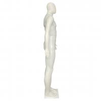 Manequim Masculino Cabeça de Ovo Branco Sopro Manequim Masculino Cabeça de Ovo Branco Sopro